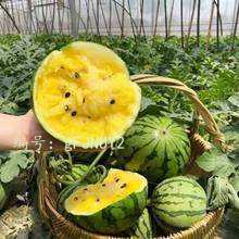 Ļ