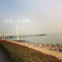 ЧӦ