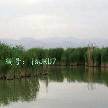 г