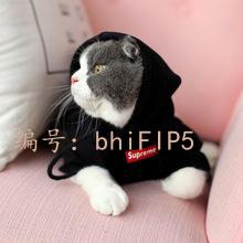 ѡ