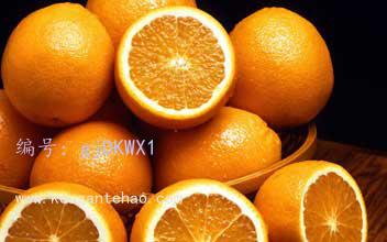 ҵ