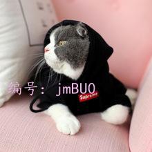 ѡ