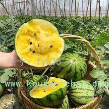 ļ