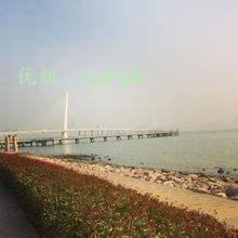 ׶