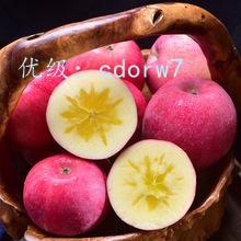 ׶