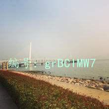 ѡ