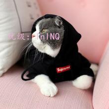 ȼ
