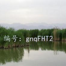 ջ