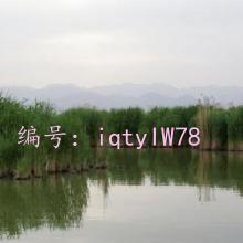 ʵ¼